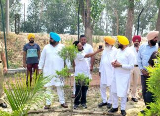 Environment Park Punjab