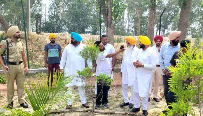 Jassi Sohian Wala Environment Park Punjab