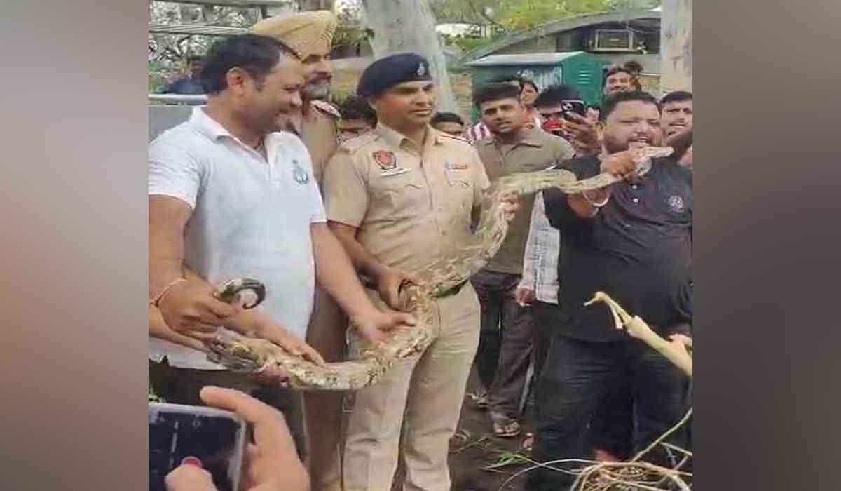 Chandigarh Sukhna Lake News