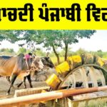 Lost Punjabi Heritage