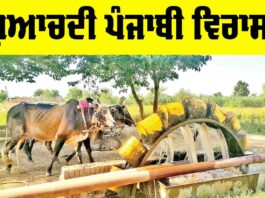 Lost Punjabi Heritage