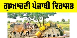 Lost Punjabi Heritage