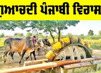 Lost Punjabi Heritage