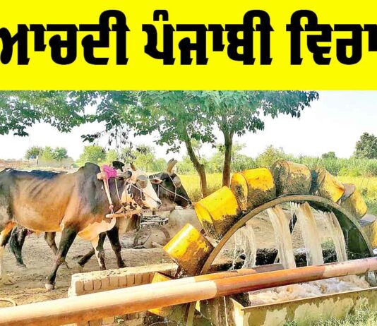 Lost Punjabi Heritage