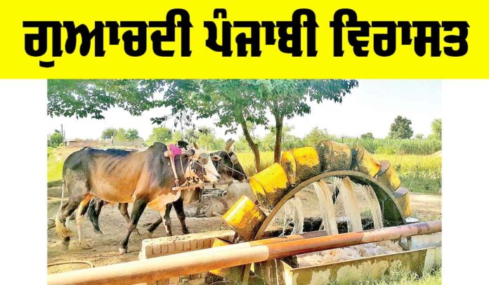 Lost Punjabi Heritage