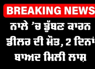 Ludhiana News