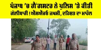 Ludhiana News