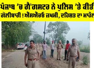 Ludhiana News