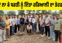 Planting Trees