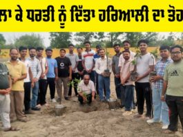 Planting Trees