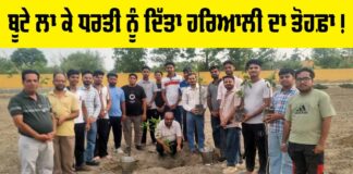 Planting Trees