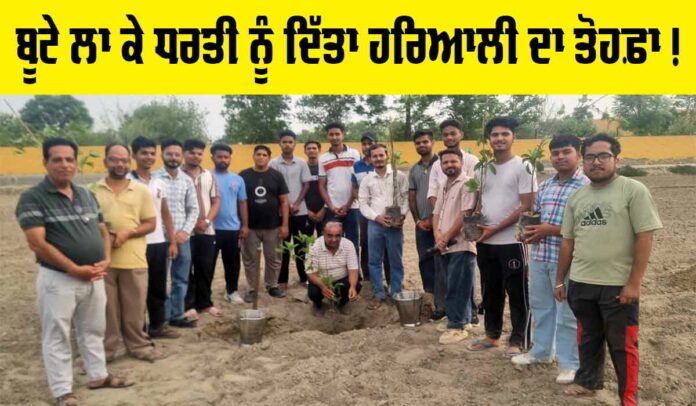 Planting Trees