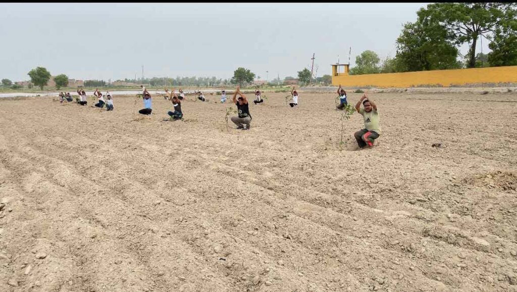 Planting Trees