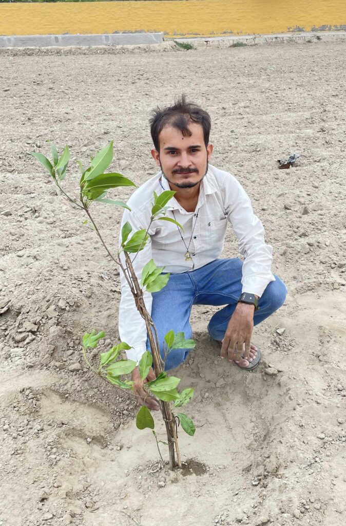 Planting Trees
