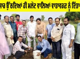 World Environment Day 2025