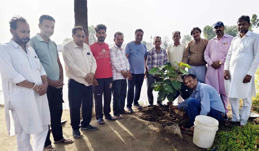 World Environment Day 2025