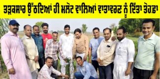 World Environment Day 2025