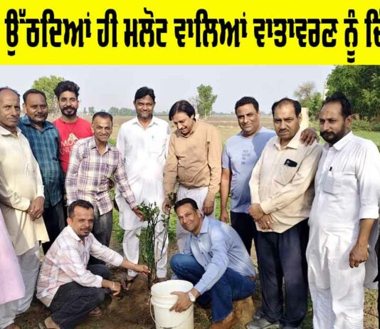 World Environment Day 2025