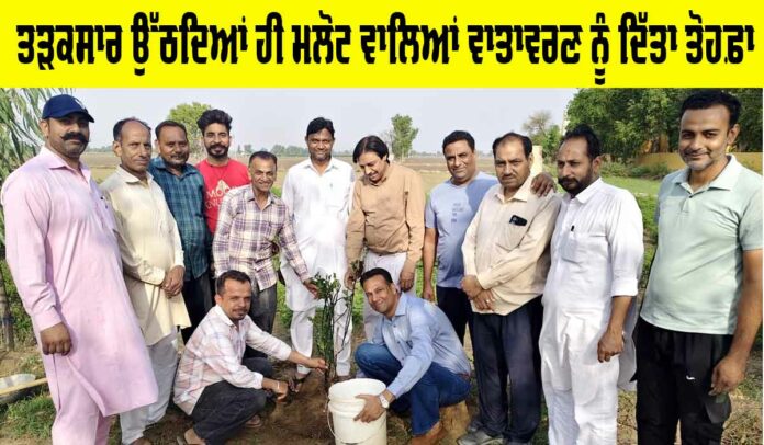 World Environment Day 2025