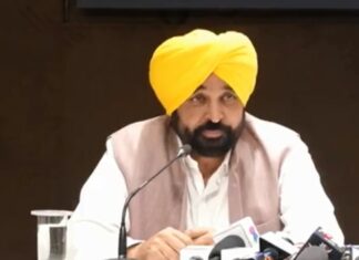Punjab Government New Policy