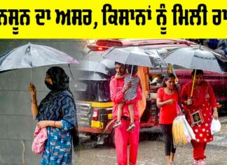 Monsoon 2025 update