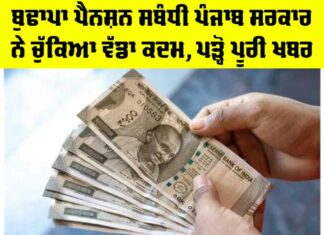 Old Age Pension Punjab