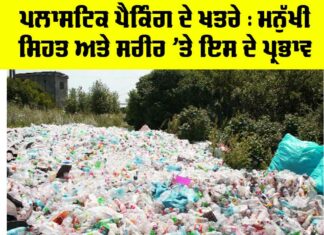 Plastic Packaging Health Risks