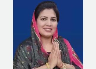 Punjab AAP News