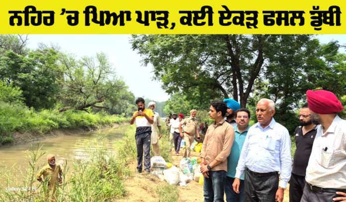 Punjab Canal Break News