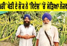 Punjab Farmer News