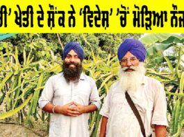 Punjab Farmer News