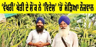 Punjab Farmer News