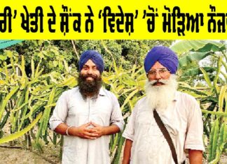 Punjab Farmer News