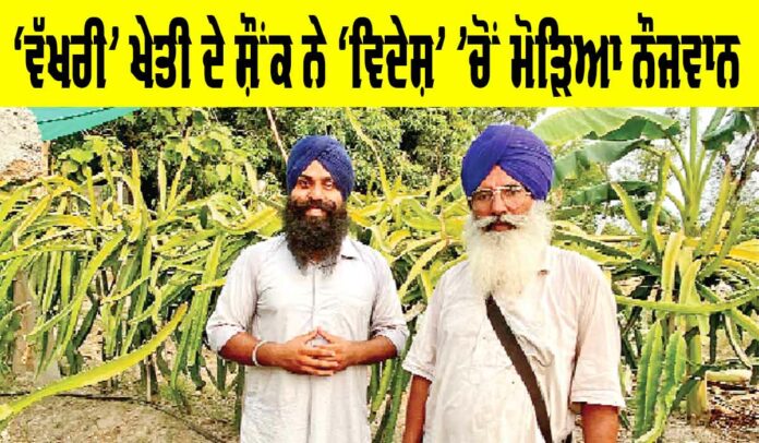 Punjab Farmer News
