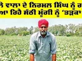 Punjab Farmer News