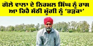 Punjab Farmer News