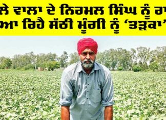 Punjab Farmer News