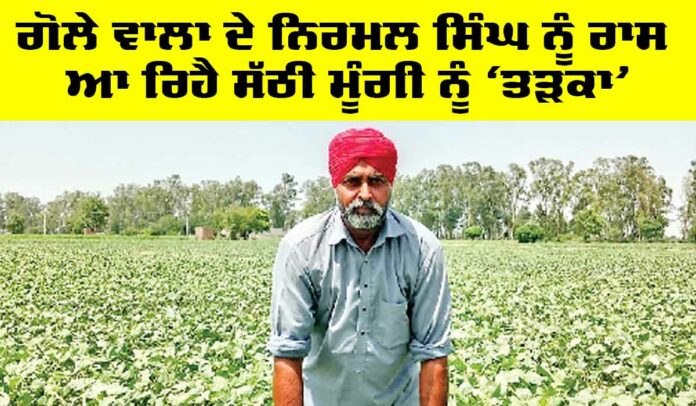Punjab Farmer News