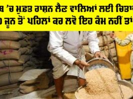 Punjab Free Ration Update 2025