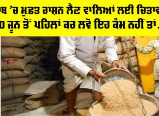 Punjab Free Ration Update 2025