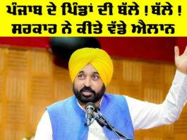 Punjab Government