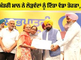 Punjab Government News