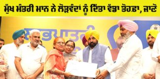 Punjab Government News