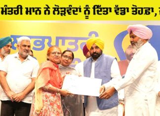 Punjab Government News