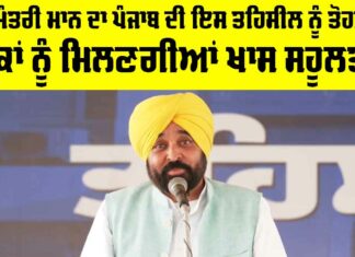 Punjab Government News