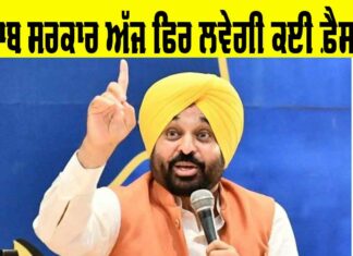 Punjab Government News