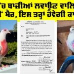 Punjab Government News
