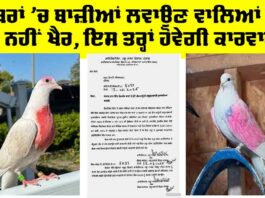 Punjab Government News