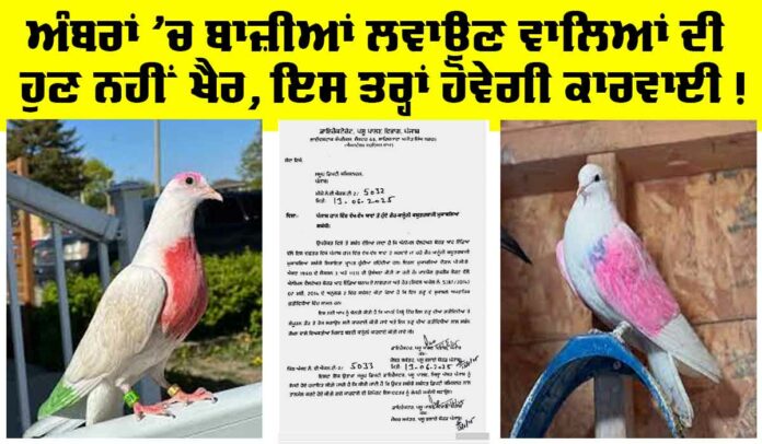 Punjab-Government-News-Ok Punjab Government News