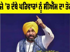 Punjab News
